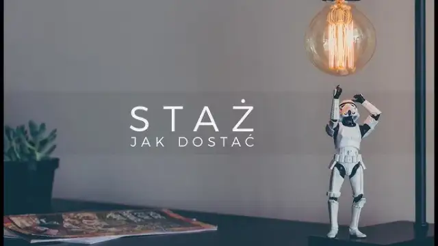 Jak zdobyć staż w Polsce? Kompletny przewodnik krok po kroku