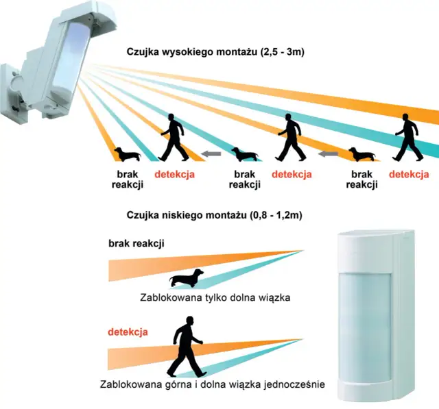 Jakie czujki do alarmu w domu wybrać, aby uniknąć fałszywych alarmów