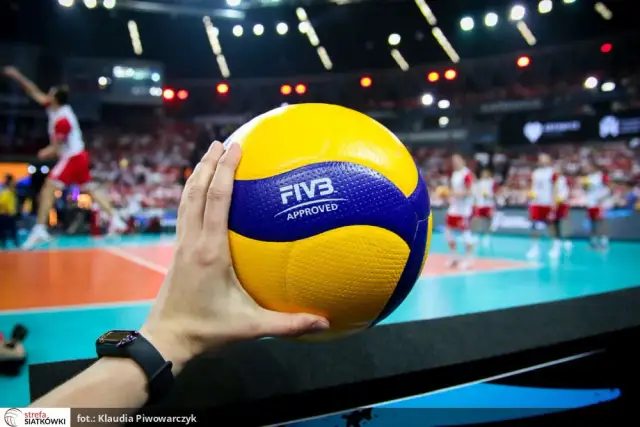 Co oznaczają zielone kartki w siatkówce? Nagroda za fair play!
