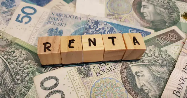 Jaka renta po 20 latach pracy? Sprawdź, ile naprawdę możesz otrzymać