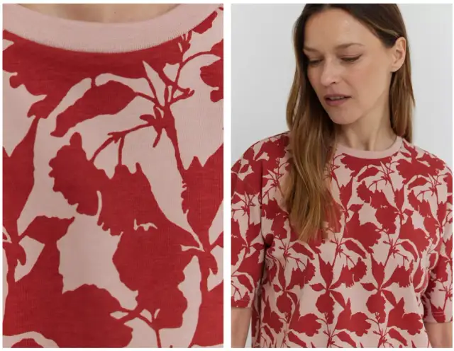 Koszula Dejaniry - co to znaczy i jak unikać katastrofalnych skutków