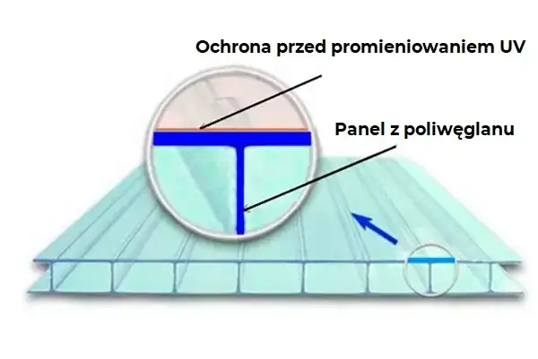 Jaki poliwęglan na szklarnię? Grubość, UV, kolor poradnik eksperta