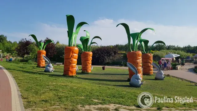 Gdzie pojechać z dzieckiem w Polsce? TOP miejsca i pomysły na wyjazd!