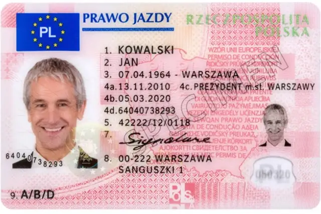 Jak sprawdzić czy ktoś posiada prawo jazdy i uniknąć problemów