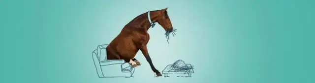 Co koń może jeść, a czego nie? Uniknij kolki! Poradnik.