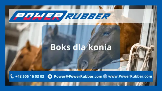 Jak zrobić boks dla konia - kluczowe wskazówki dla bezpieczeństwa i komfortu