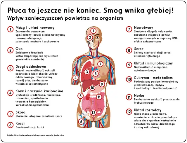 Czy smog powoduje rozwój astmy u dzieci? Oto niepokojące fakty