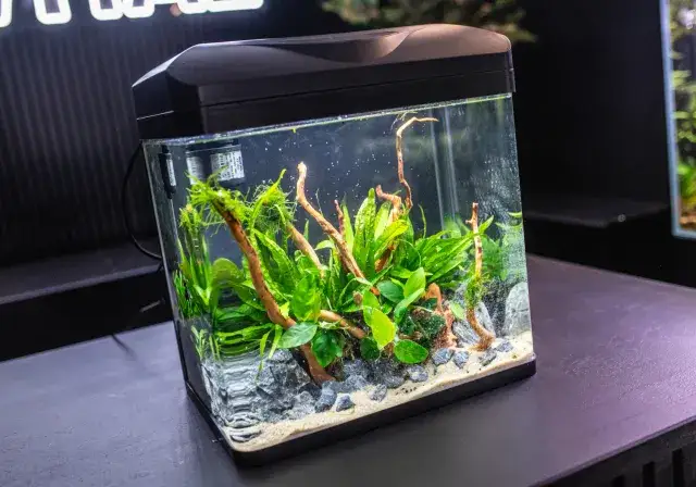 Jak zamontować filtr do akwarium Aquael - proste kroki i porady