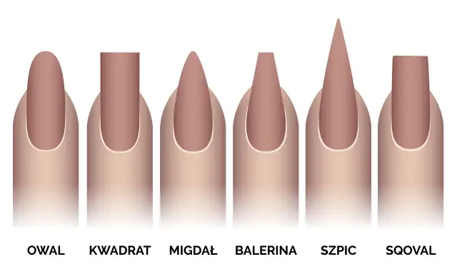 Ilustracja przedstawia sześć różnych kształtów paznokci żelowych: owal, kwadrat, migdał, balerina, szpic i sqoval.