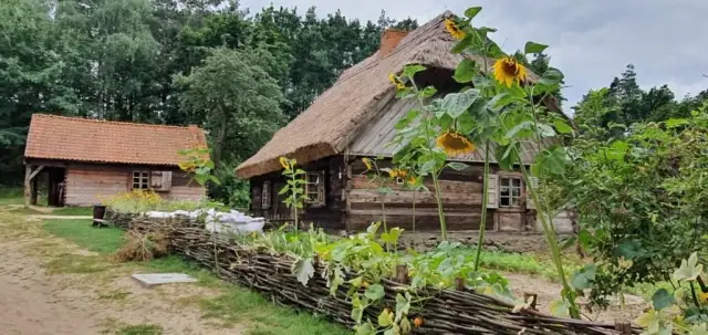 Skansen w Sierpcu: Kompletny przewodnik po Muzeum Wsi Mazowieckiej