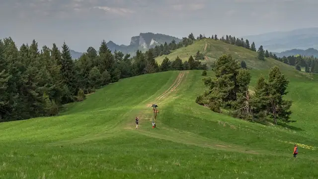 Wysoki Wierch: Pieniny z Bukowiny? Przewodnik po szlaku i widokach
