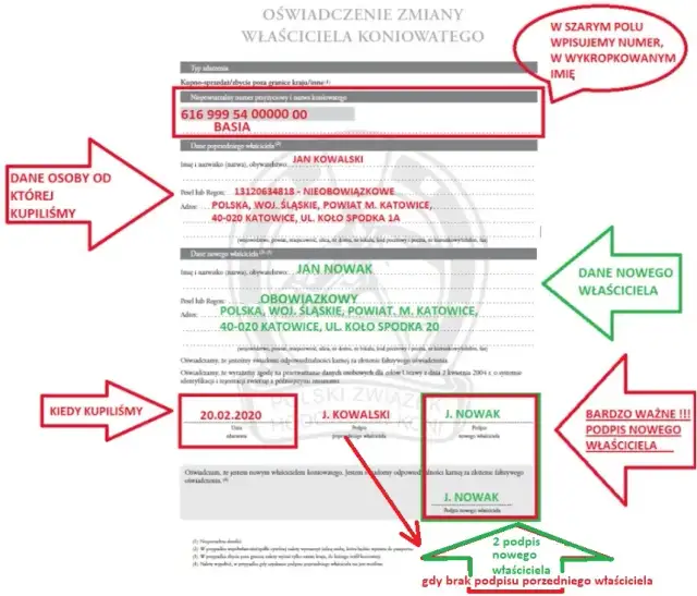 Jak przepisać konia na siebie? Uniknij błędów i zbierz dokumenty