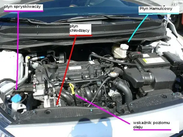 Co jest pod maską Toyota Yaris - kluczowe elementy silnika i ich funkcje