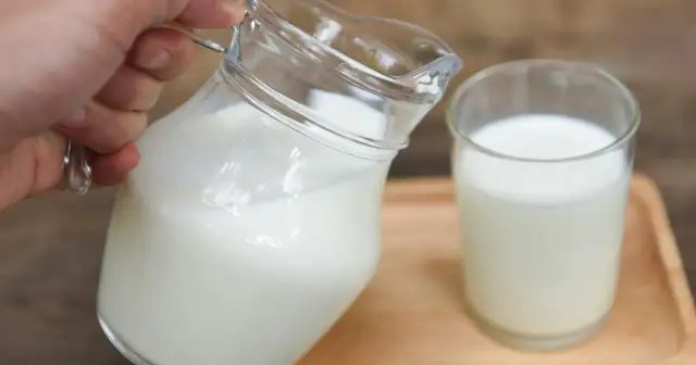 Ręka nalewa biały napój z dzbanka do szklanki. Zastanawiasz się, ile kefiru dziennie jest dla Ciebie najlepsze?