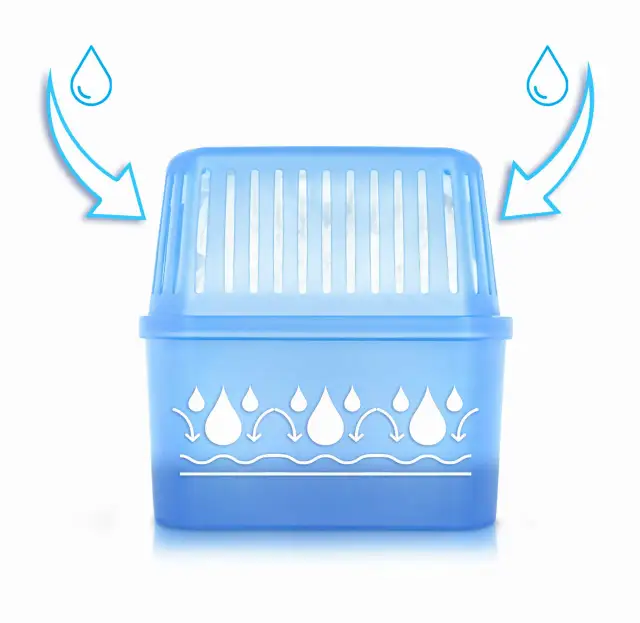 Skuteczne sposoby na osuszenie samochodu z wilgoci i zapobieganie stęchliznie