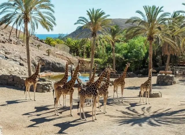 Fuerteventura: Najpiękniejsze Miejsca. Czy znasz te perełki?