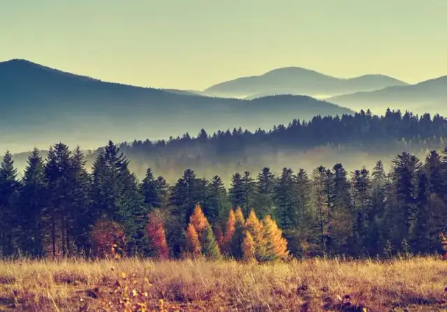 Rezerwat przyrody Ochojec - unikalne rośliny i atrakcje dla odwiedzających