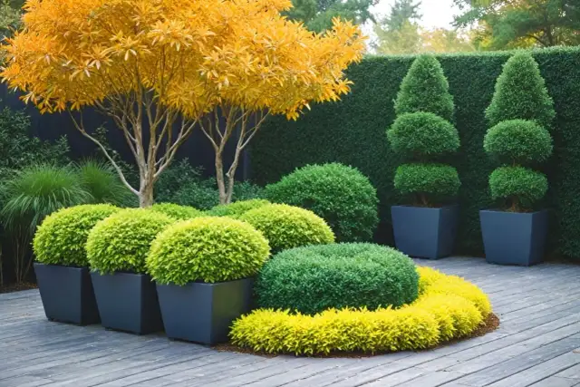 Rośliny na taras: Słońce, cień, zimozielone Twój zielony raj!