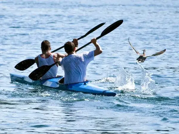 Kajakarstwo a wioślarstwo: Co wybrać? Kluczowe różnice i porady