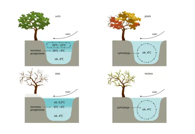 Jak długo kwitnie woda w jeziorze? Czas trwania i wpływ na ekosystem