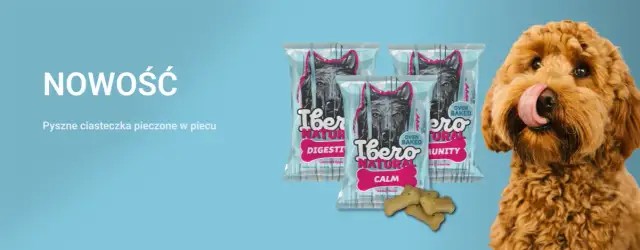 Kiedy kotka rodzi? Poznaj objawy i czas porodu, aby pomóc