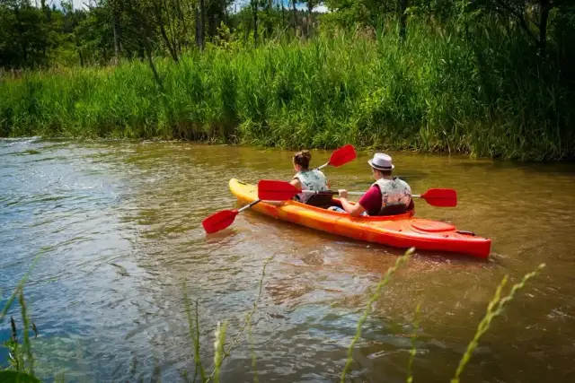 Cennik spływów kajakowych Zwierzyniec: Ile kosztuje przygoda?