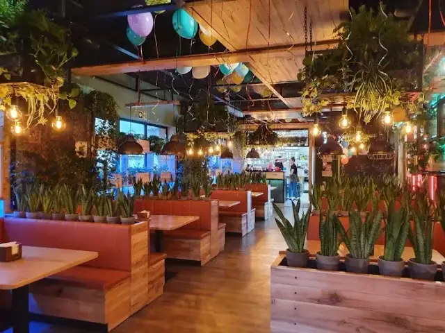 Gdzie zjeść w Pile? Odkryj najlepsze restauracje i lokale gastronomiczne