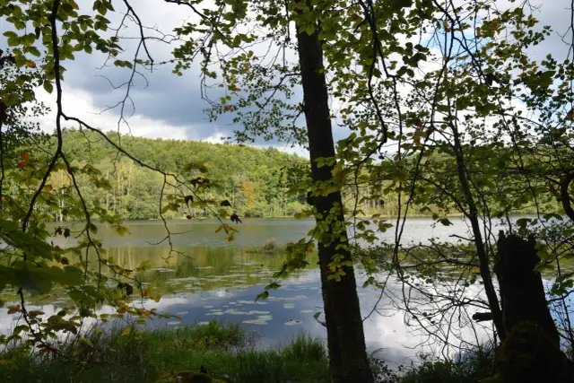 Rezerwat przyrody Lubygość - piękno natury i atrakcje turystyczne