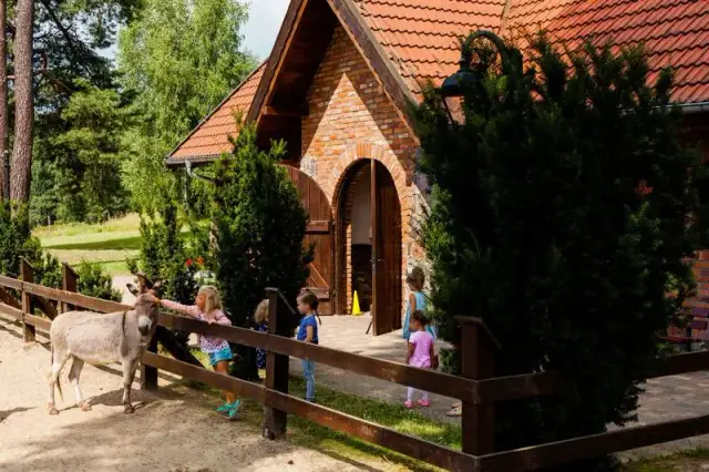 Bacówka Szczecinek - pyszne dania, przyjazna atmosfera i opinie