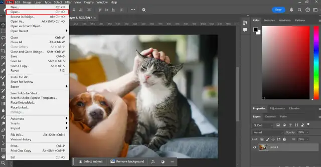 Poprawa jakości zdjęć w Photoshopie: Praktyczny przewodnik