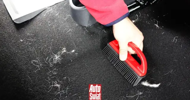 Skuteczne sposoby na to, czym usunąć sierść z tapicerki bez trudu