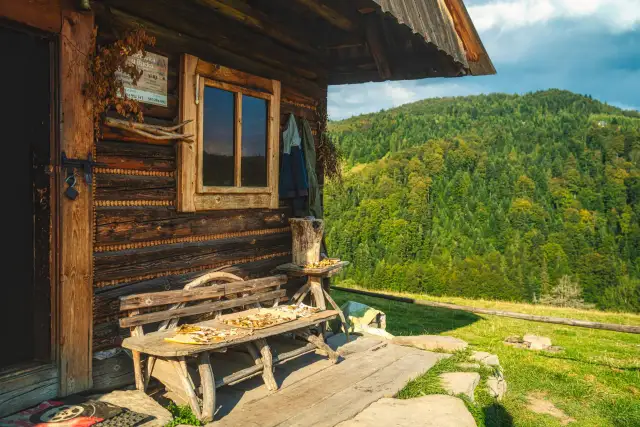 Bacówka u Bucka: Tradycyjne sery, które musisz spróbować