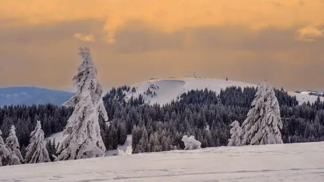 Schwarzwald höchste Berge: Feldberg, Belchen & Herzogenhorn entdecken