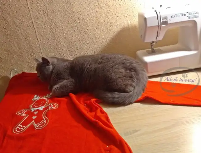 Przeróbka swetra na kardigan: Prościej niż myślisz! DIY