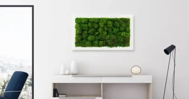 Jak dbać o mech dekoracyjny, aby długo zachował świeżość i urok