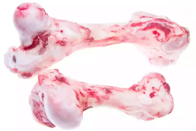 Kości dla psa surowe czy gotowane – co jest bezpieczniejsze dla zdrowia?