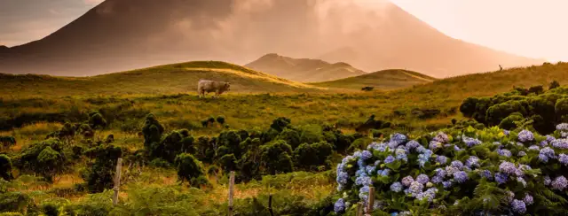 Najciekawsze atrakcje na Azorach, które musisz odwiedzić na São Miguel