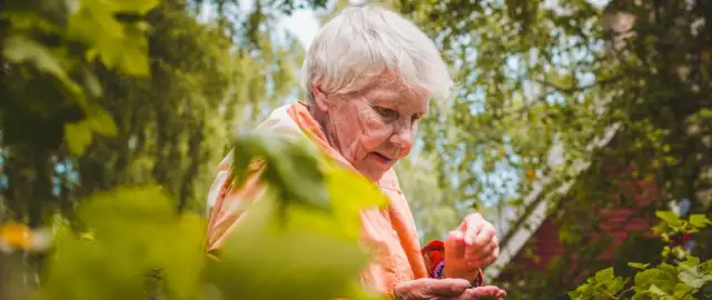 ZUS czy są poprawki emerytur rocznik 1953 i jak wpłyną na Twoje świadczenia