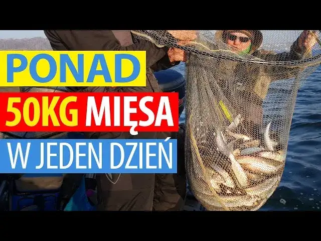 Kiedy łowić śledzie w Bałtyku? Odkryj najlepsze sezony i miejsca