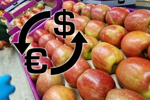 Jabłka przemysłowe w skrzynkach. Strzałki wskazują na zmiany kursów walut, sugerując aktualne ceny jabłek przemysłowych.