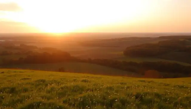 Ile kosztuje ar działki budowlanej na wsi? Sprawdź ceny i trendy