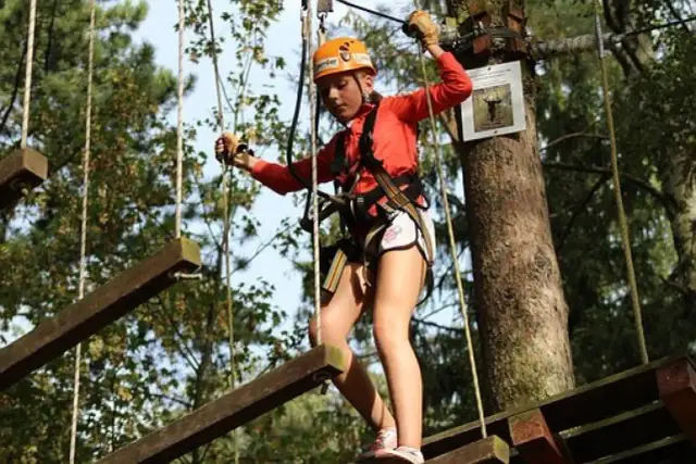 Parki linowe Wrocław: Który wybrać? Ceny, trasy, porady dla rodzin