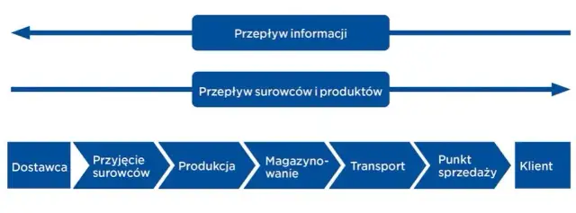Logistyk vs spedytor: Kto za co odpowiada w łańcuchu dostaw?
