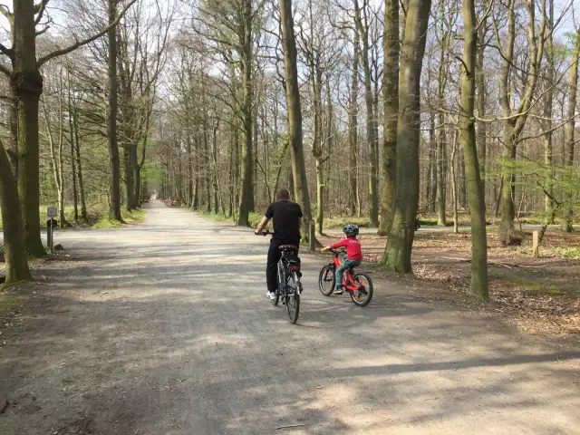 Czy w Belgii jest bezpiecznie? Odkryj zagrożenia i bezpieczne miejsca