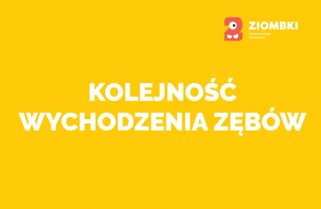 W jakiej kolejności wychodzą zęby? Odkryj, co musisz wiedzieć o ząbkowaniu