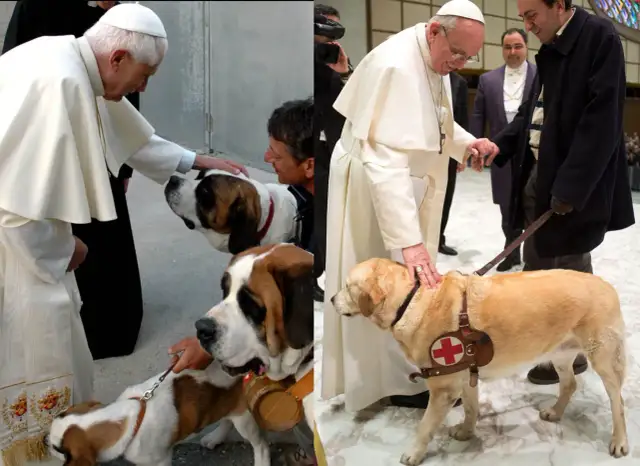 Czy pies ma duszę? Odkryj kontrowersje i różne perspektywy