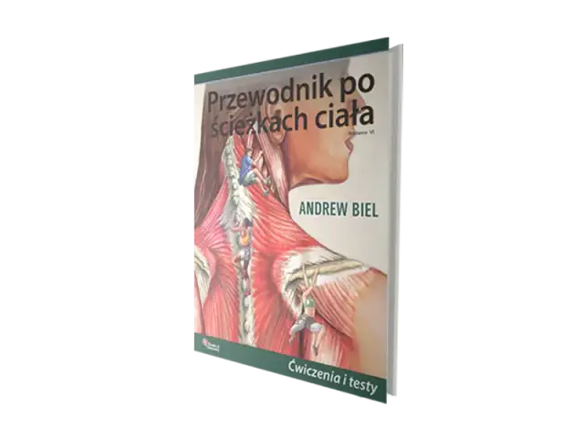 Co po medycynie? Pełny przewodnik po ścieżkach kariery i zarobkach