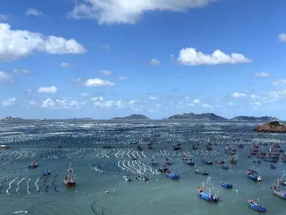 Fughe al mare da Shanghai: Guida alle migliori spiagge e isole