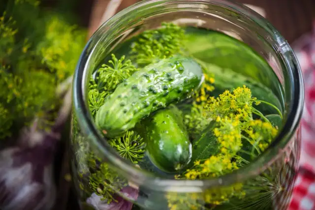 Idealne ogórki: w czym kisić, by były chrupiące i zdrowe?
