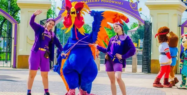 Najlepsze atrakcje wesołego miasteczka w Polsce, które musisz poznać